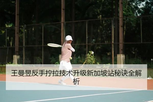 wang-man-yu-fan-shou-ning-la-ji-shu-sheng-ji-xin-jia-po-zhan-mi-jue-quan-jie-xi-2-327.jpg