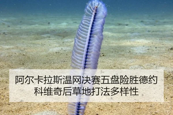 阿尔卡拉斯温网决赛五盘险胜德约科维奇后草地打法多样性